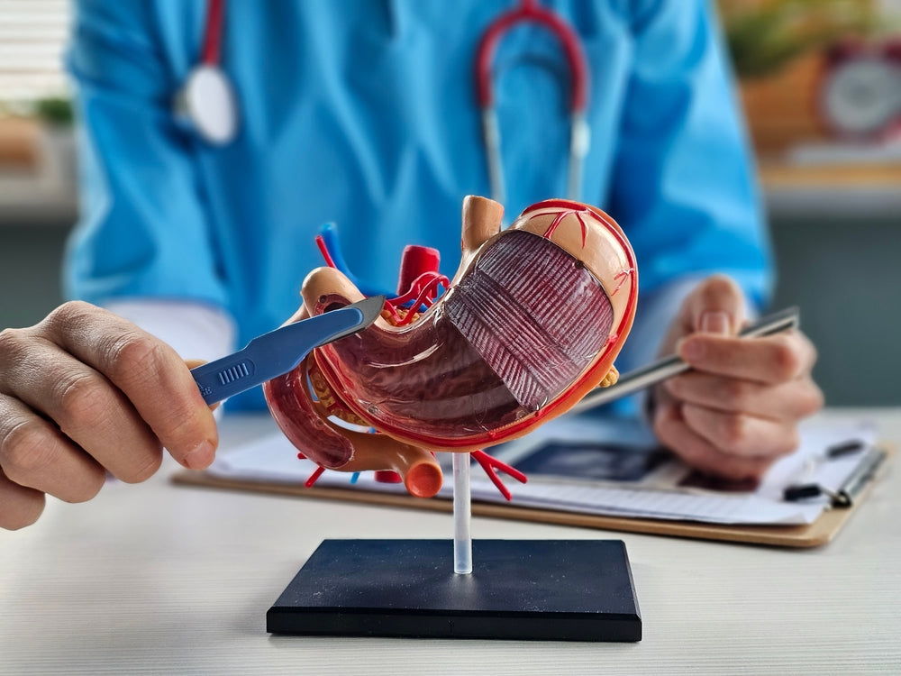 Bariatric MRI Wheelchairs: Features, Safety, and Sizing Guide